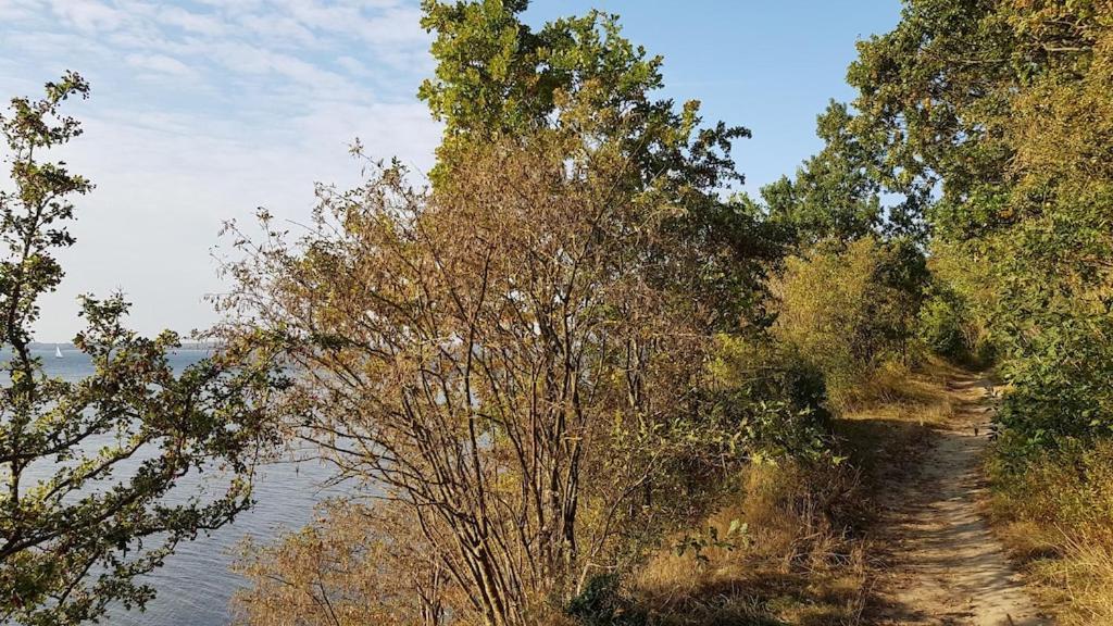 Ferienwohnung Seeblick Altefähr Εξωτερικό φωτογραφία
